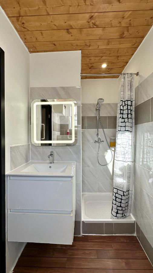 Lion'S Room - 2 Minute Walk From Palais Des Festivals And Beaches Cannes Zewnętrze zdjęcie